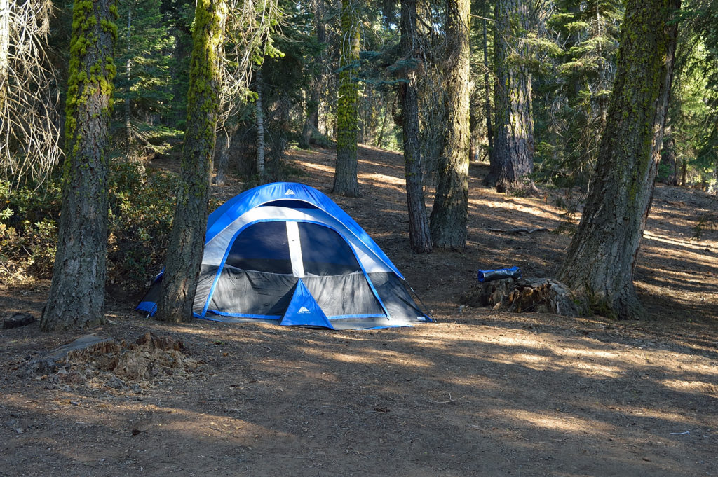 Eco Travel: 20 Sustainable Travel Tips For Beginners 4 camping in the usa
