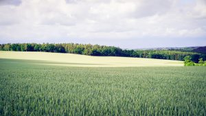 WWOOF