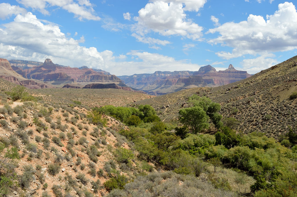 plateau point wielki kanion