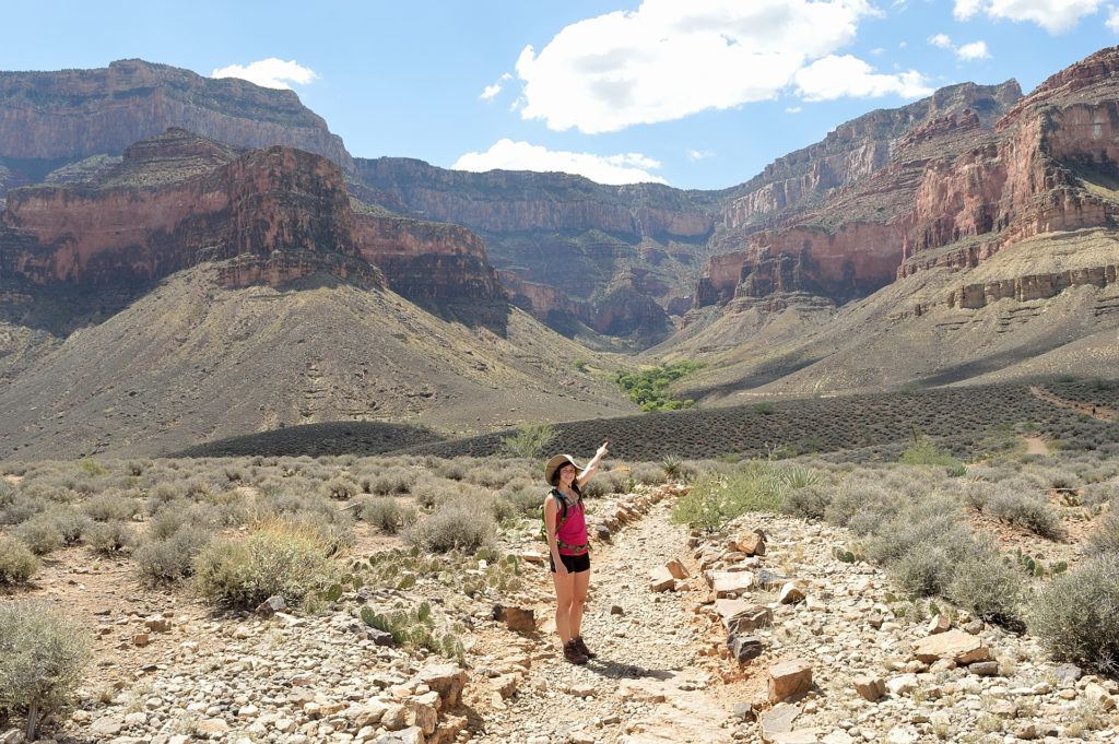 plateau point wielki kanion