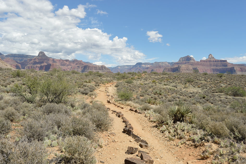 plateau point wielki kanion