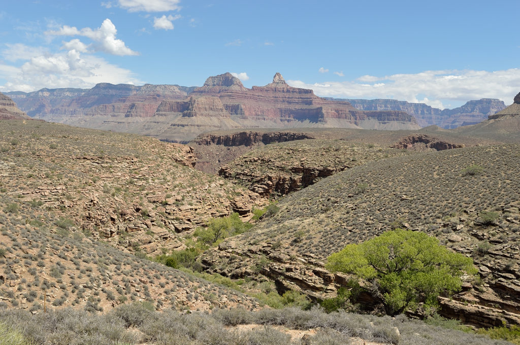 plateau point