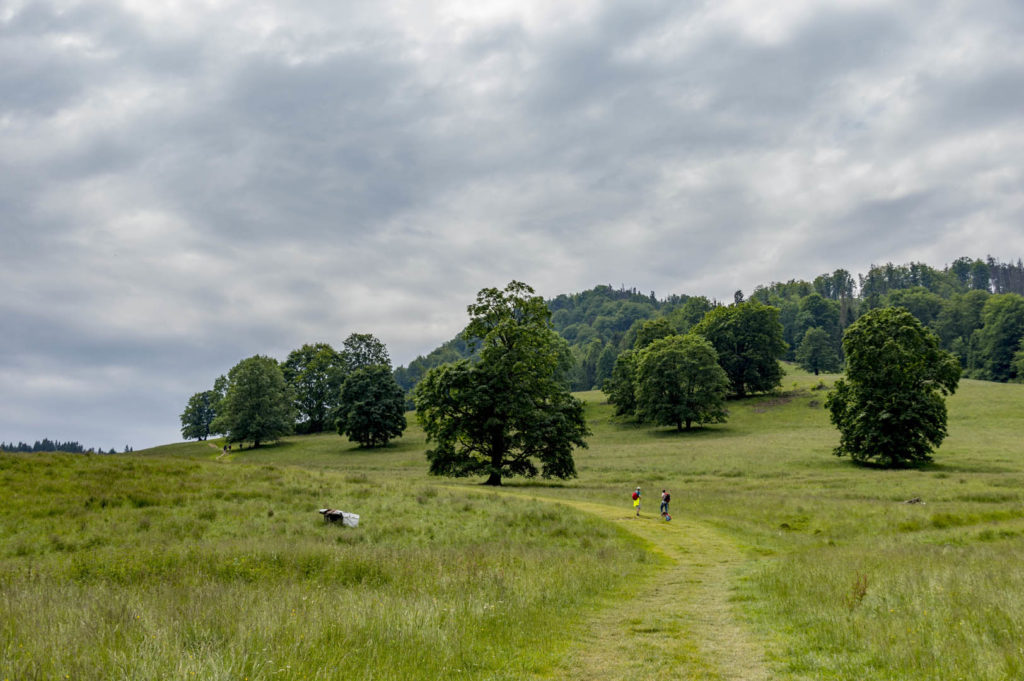 wysoka crown of polish mountains