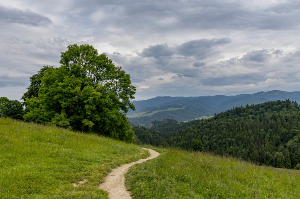 wysoka crown of polish mountains