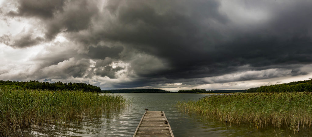 panorama burza