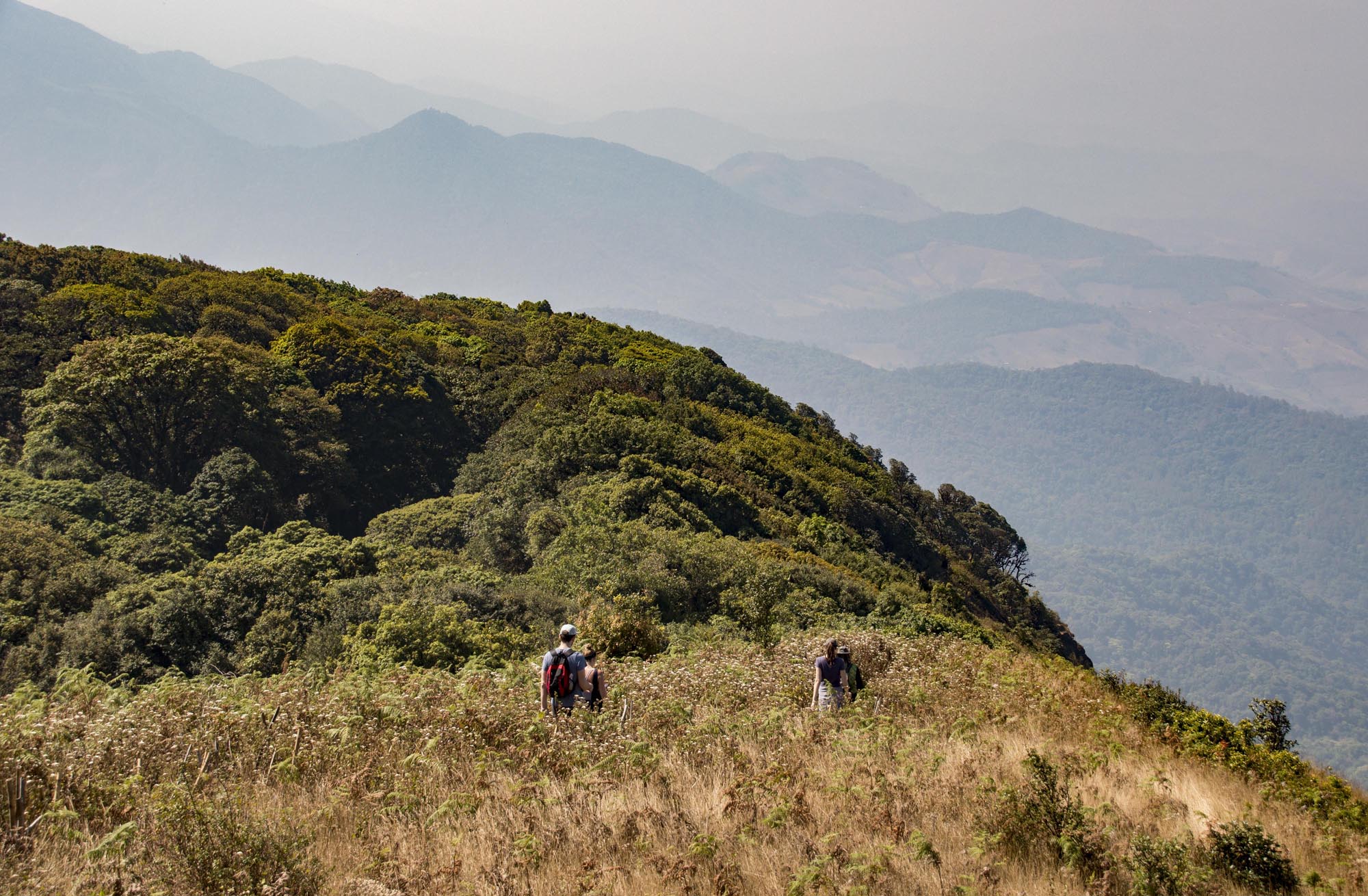 things to do in Chiang Mai - doi inthanon