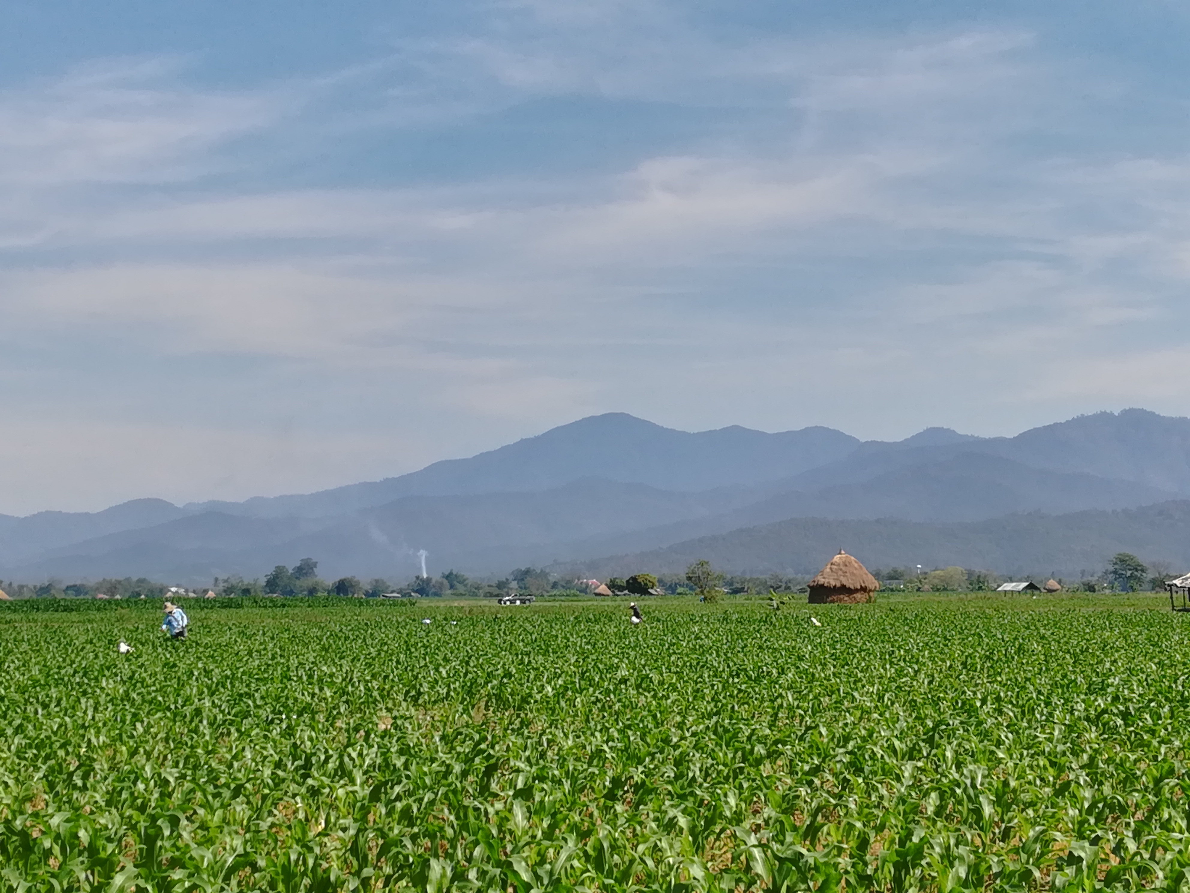 things to do in Chiang Mai - bike tour