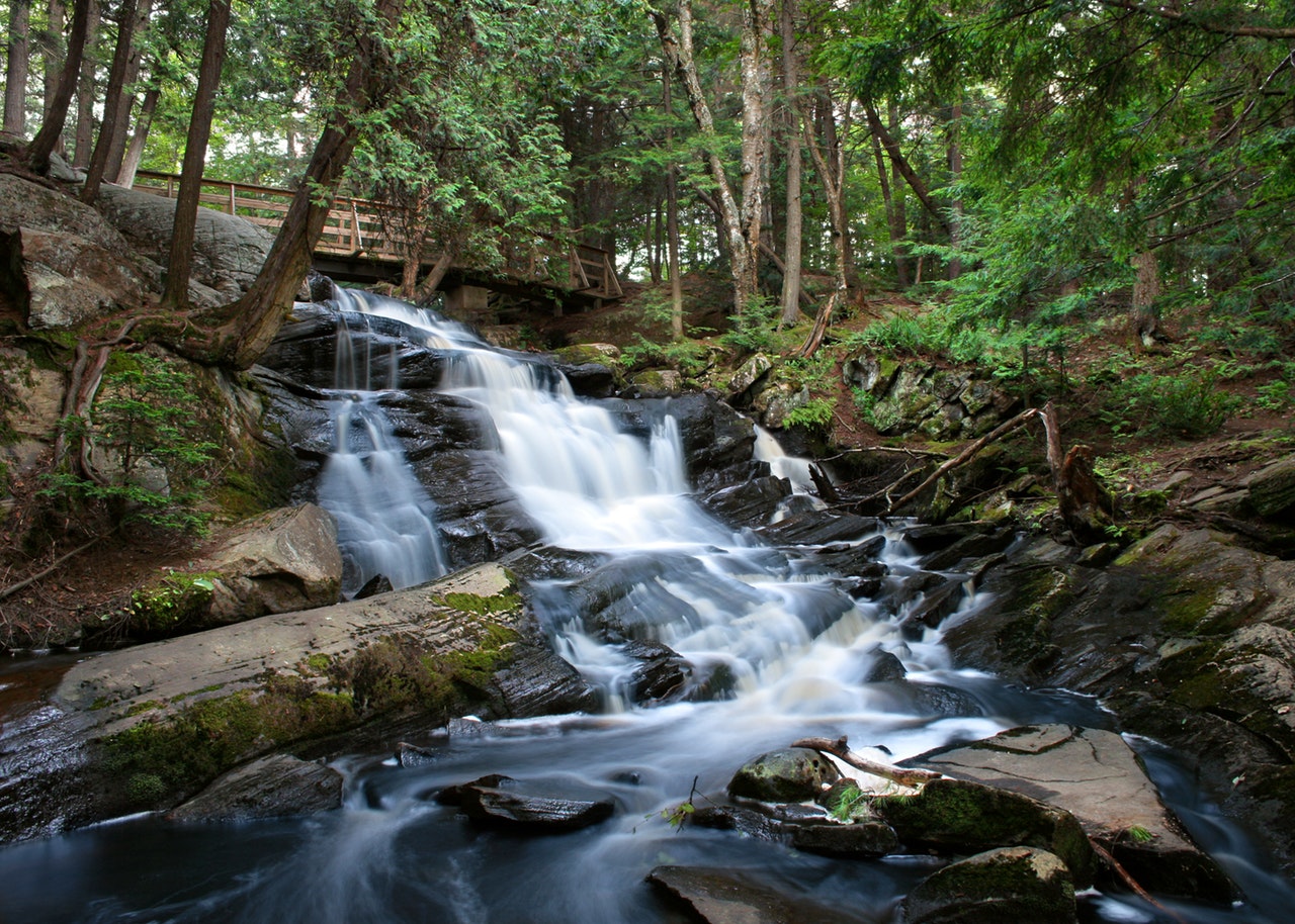 things to do in Chiang Mai - sticky waterfall