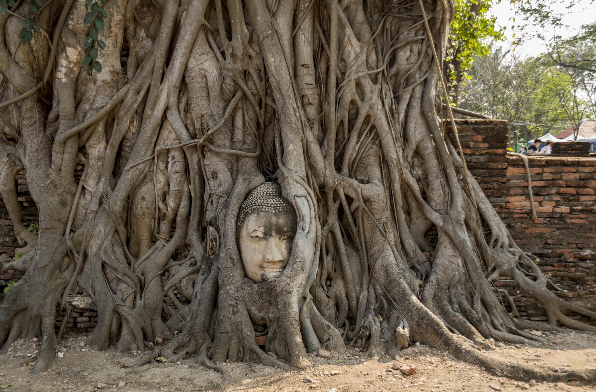 Ayutthaya Wat Phra Mahathat