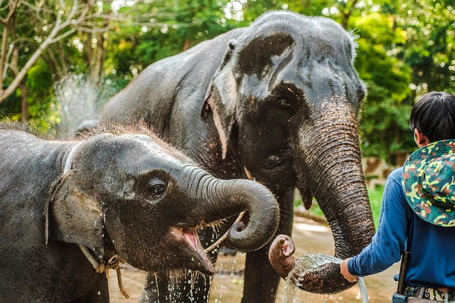 Tajlandia, Phuket - 14 najlepszych atrakcji, które warto zobaczyć na wyspie. tajlandia phuket 2