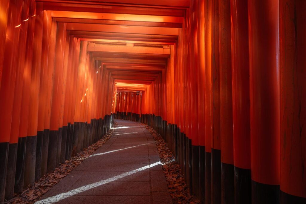 Japonia. 15 atrakcji, które warto zobaczyć w kraju kwitnącej wiśni. atrakcje Japonii bramy tori w kyoto