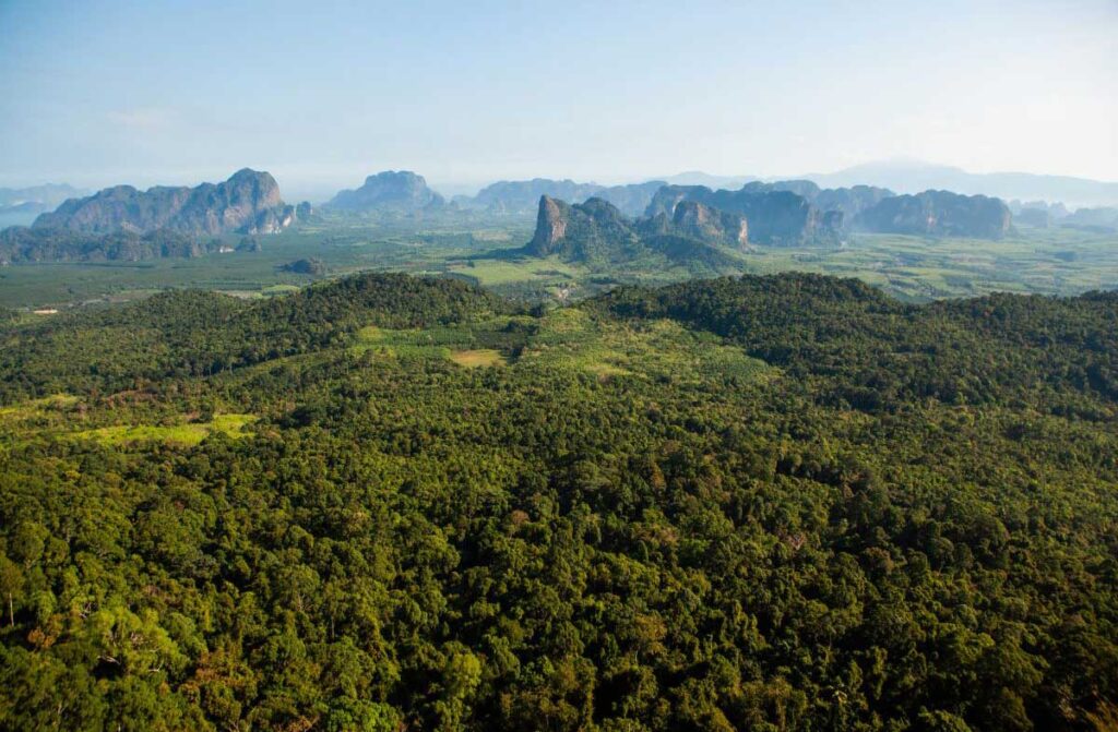 Krabi atrakcje Khao Phanom Bencha