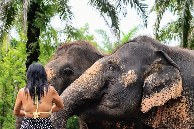 Krabi, Tajlandia - co warto zobaczyć podczas wakacji w prowincji? tajlandia krabi 2