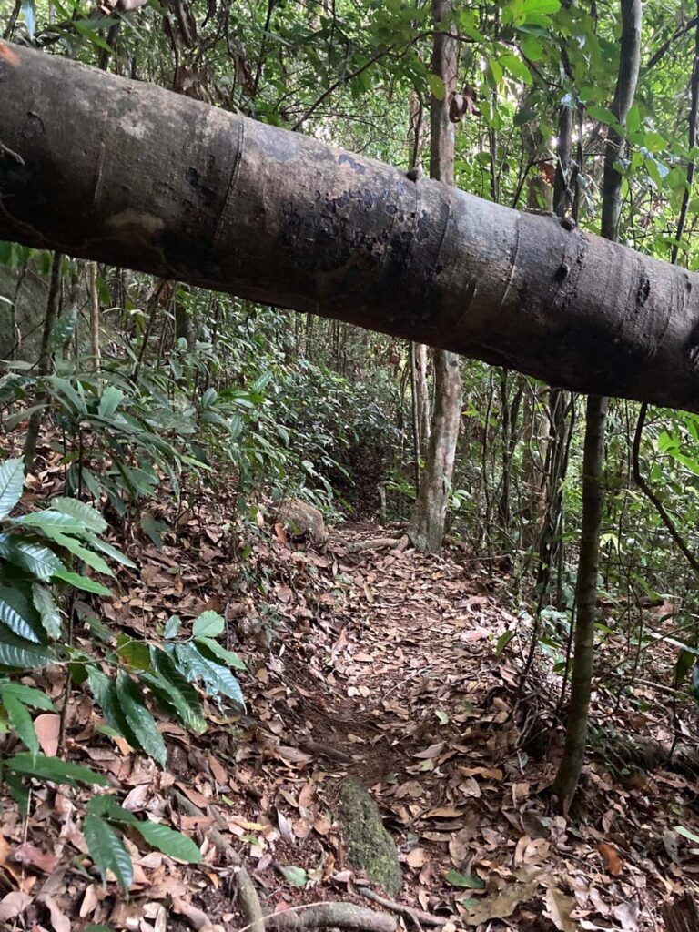 Amazing 10 Things to Do in Koh Phangan, Thailand koh phangan what to do attractions 6