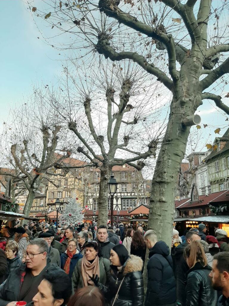5 Amazing Things To Do In Colmar, France colmar alsace christmas market 3