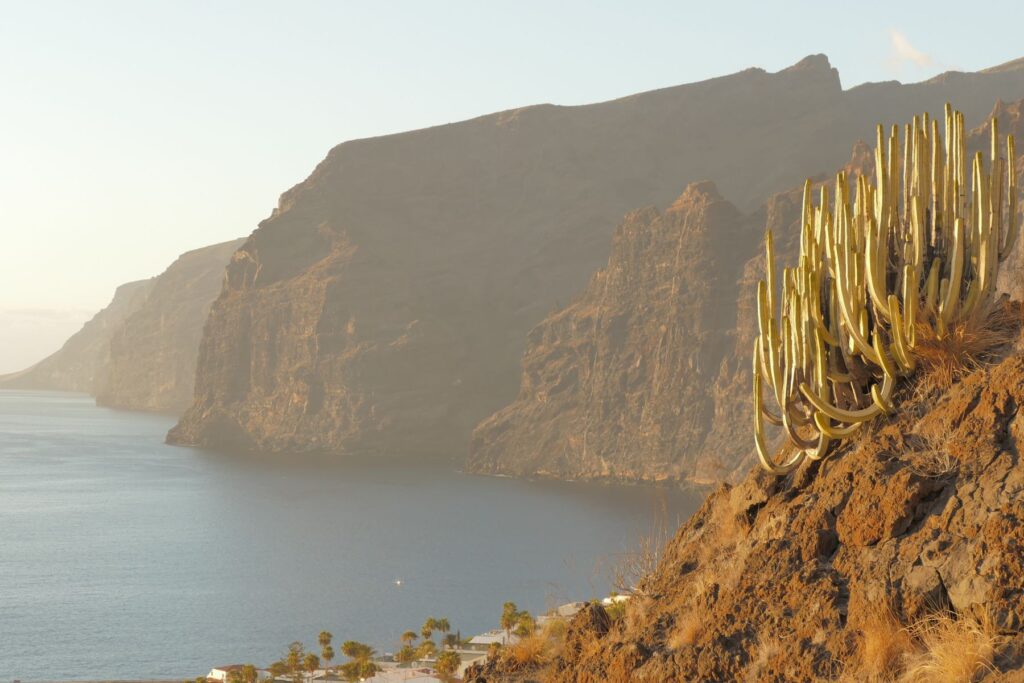 Teneryfa - co warto zobaczyć podczas urlopu? 5 Teneryfa - co warto zobaczyć podczas urlopu? teneryfa atrakcje los gigantes