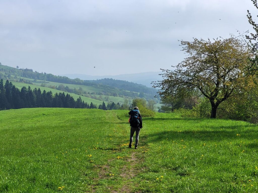 7 Tips On How to Prepare for the Everest Base Camp Trek 19 7 Tips On How to Prepare for the Everest Base Camp Trek 20230520 085955