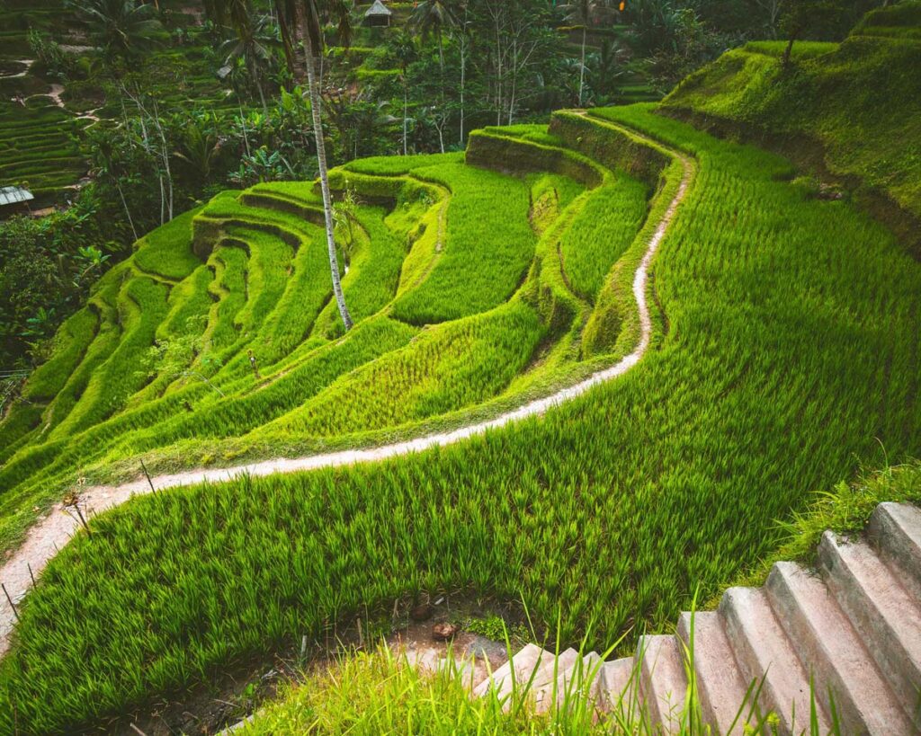 30 Top Things To Do In Bali, Indonesia 33 30 Top Things To Do In Bali, Indonesia things to do in bali indonesia 3