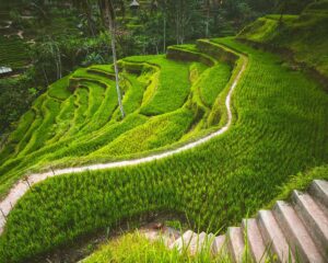 things to do in bali indonesia