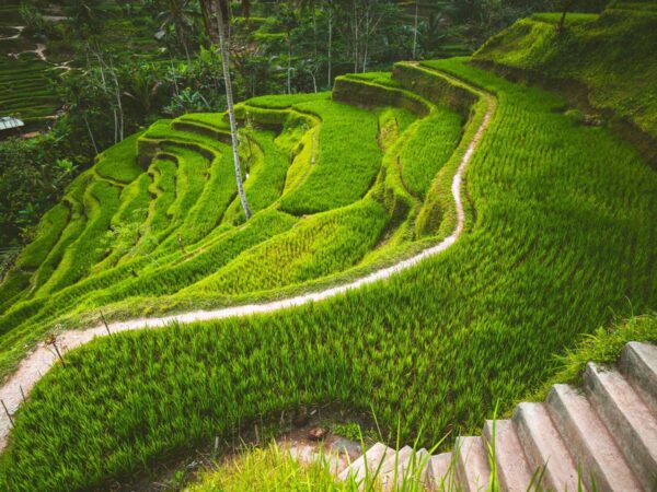 30 Top Things To Do In Bali, Indonesia 31 things to do in bali indonesia