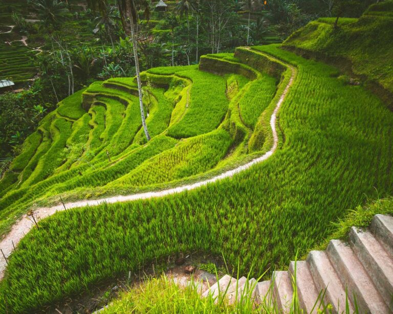 things to do in bali indonesia
