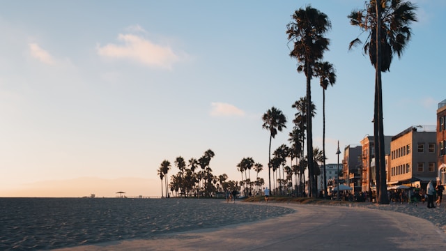 Los Angeles - atrakcje. Co zobaczyć w Mieście Aniołów? 16 Los Angeles - atrakcje. Co zobaczyć w Mieście Aniołów? venice beach los angeles co zobaczyc