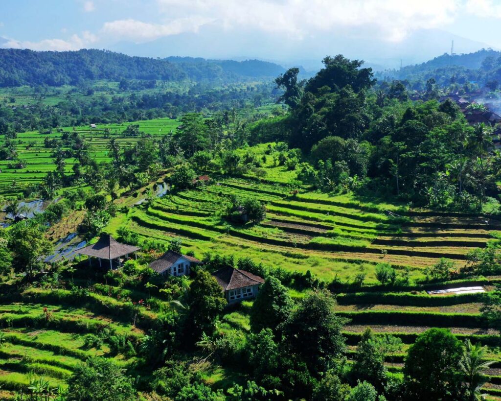 30 Top Things To Do In Bali, Indonesia 42 30 Top Things To Do In Bali, Indonesia what to do in bali indonesia 4