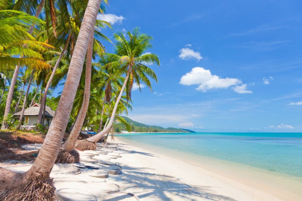 15 Best Things To Do In Pattaya, Thailand 3 15 Best Things To Do In Pattaya, Thailand best things to do in pattaya 3