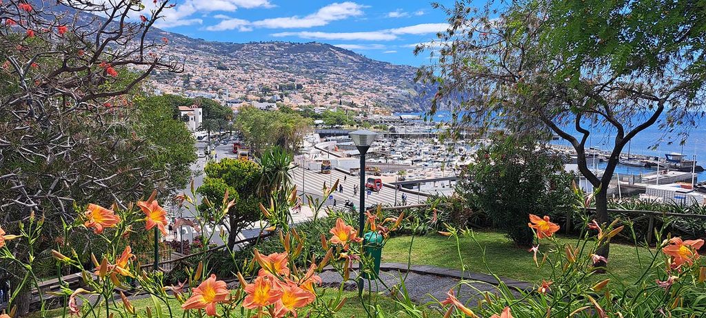 Madera poza sezonem. Dlaczego warto odwiedzić wyspę jesienią i zimą? funchal